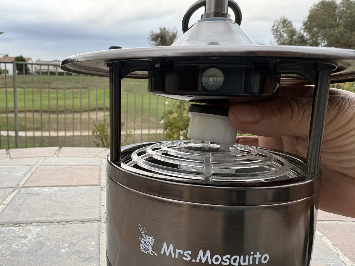 Placing an MM01 lure into the center of the MM400